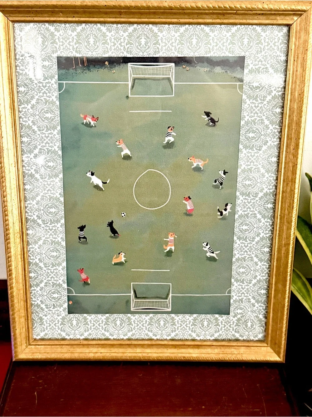 N/A soccer dog